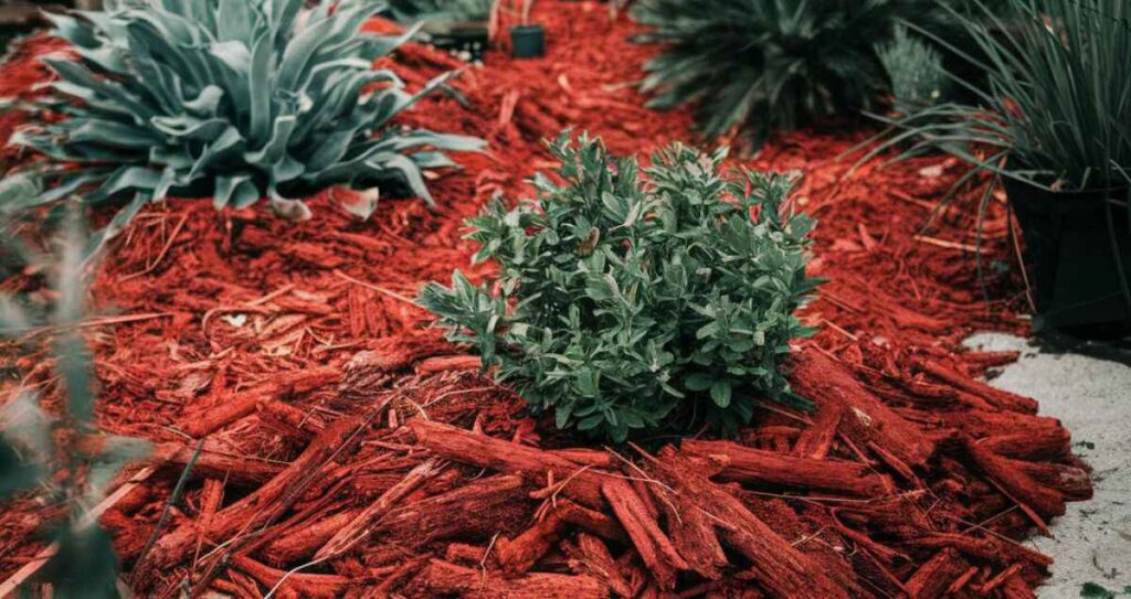 Red Mulch