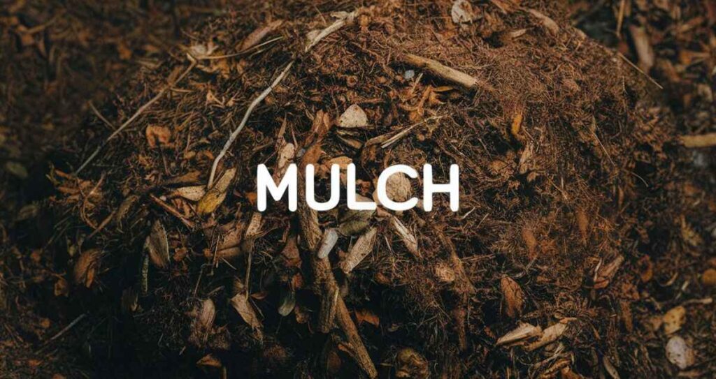 What is Mulch